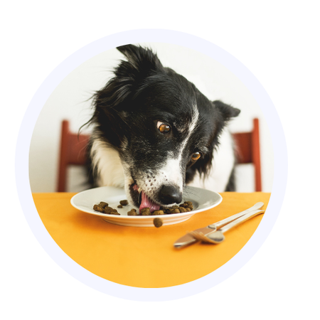 Alimentação e Hidratação