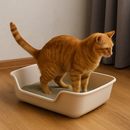 Caixa de Areia JUMBO