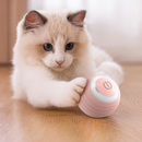 Bola Inteligente para Pet