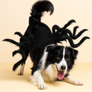 Fantasia Aranha | para Cachorro e Gato