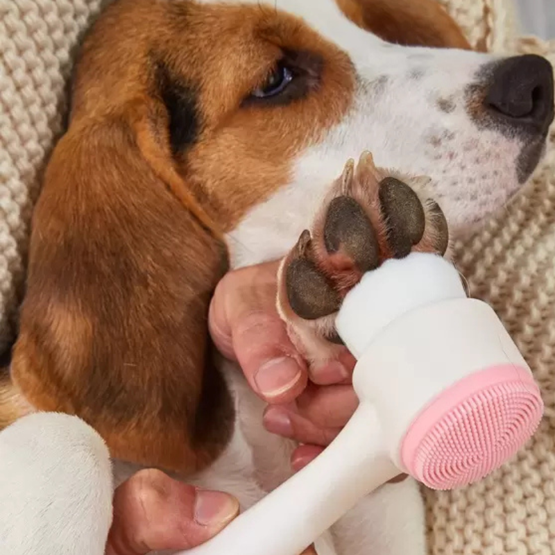 Escova Limpa Patinha  | Para cachorro e gato