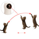 Brinquedo Estimulante de Exercícios para Gatos