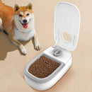 Comedouro Automático com Timer