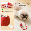 Bola Elétrica Interativa Pet