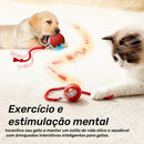 Bola Elétrica Interativa Pet