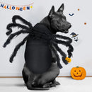 Fantasia Aranha | para Cachorro e Gato