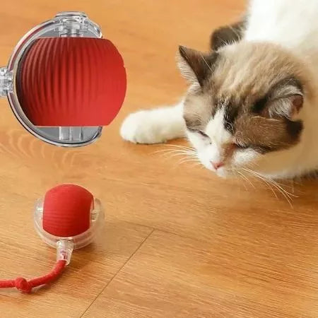 Bola Elétrica Interativa Pet